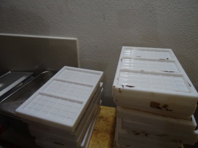 The moulds The moulds